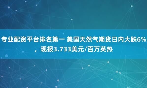 专业配资平台排名第一 美国天然气期货日内大跌6%，现报3.733美元/百万英热