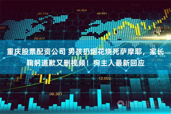 重庆股票配资公司 男孩扔烟花烧死萨摩耶，家长鞠躬道歉又删视频！狗主人最新回应